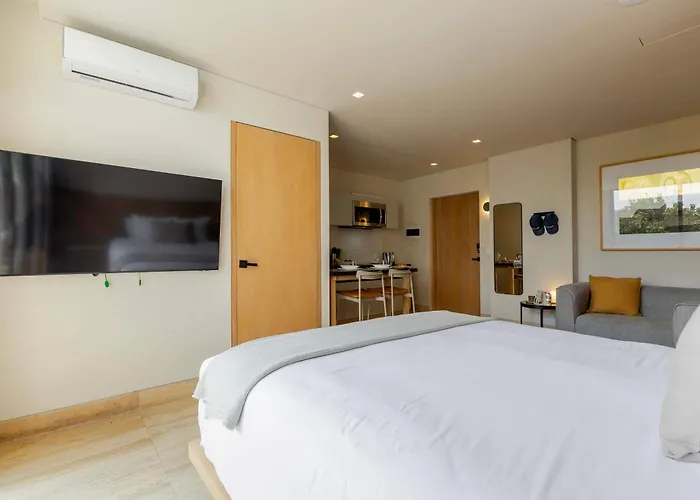 Capitalia Balcony Rooftop & Polanco Lifestyle Apartamento
